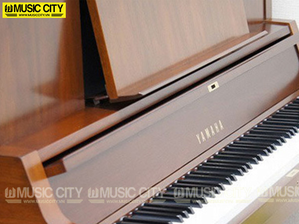 Music City – Tổng Kho Piano, Guitar, Organ | Dịch Vụ Giáo Dục Âm Nhạc