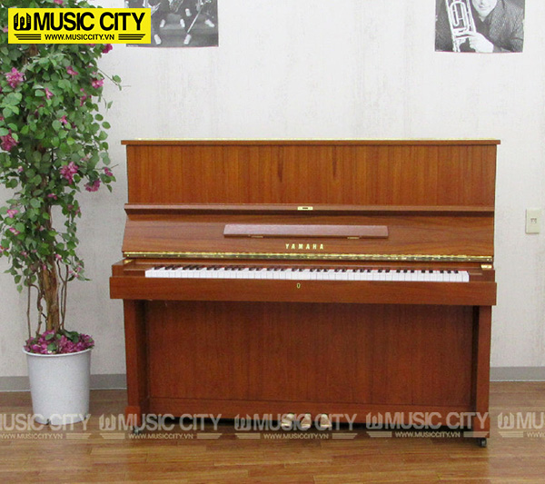Music City – Tổng Kho Piano, Guitar, Organ | Dịch Vụ Giáo Dục Âm Nhạc