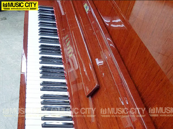Music City – Tổng Kho Piano, Guitar, Organ | Dịch Vụ Giáo Dục Âm Nhạc