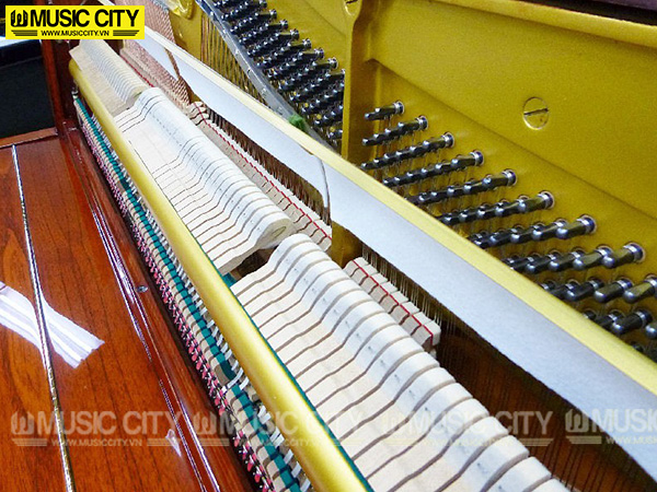 Music City – Tổng Kho Piano, Guitar, Organ | Dịch Vụ Giáo Dục Âm Nhạc