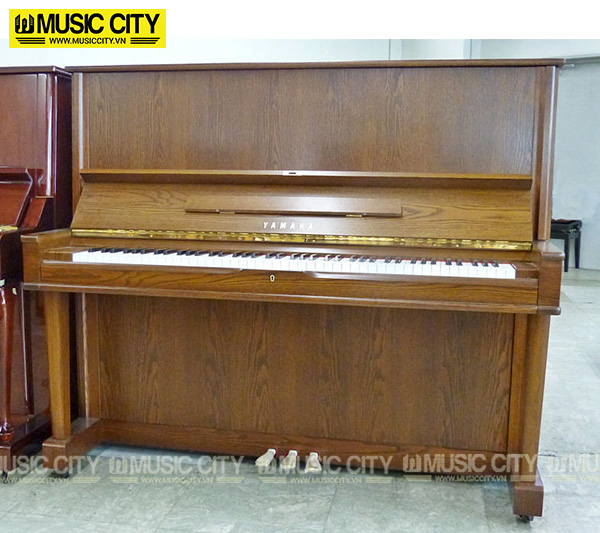 Music City – Tổng Kho Piano, Guitar, Organ | Dịch Vụ Giáo Dục Âm Nhạc