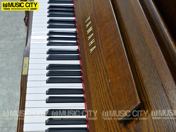 Music City – Tổng Kho Piano, Guitar, Organ | Dịch Vụ Giáo Dục Âm Nhạc