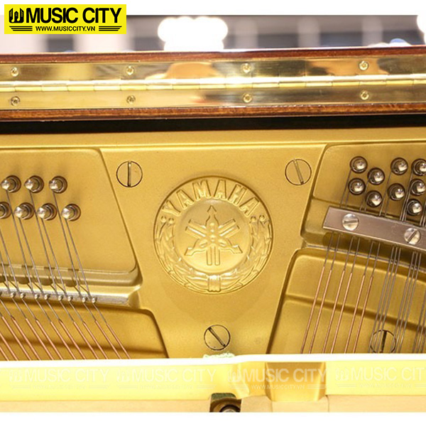 Music City – Tổng Kho Piano, Guitar, Organ | Dịch Vụ Giáo Dục Âm Nhạc