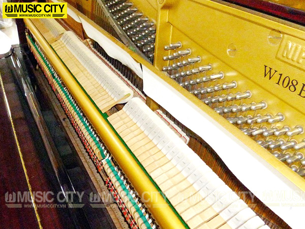 Music City – Tổng Kho Piano, Guitar, Organ | Dịch Vụ Giáo Dục Âm Nhạc