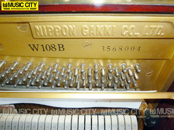 Music City – Tổng Kho Piano, Guitar, Organ | Dịch Vụ Giáo Dục Âm Nhạc
