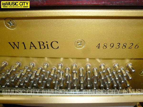 Music City – Tổng Kho Piano, Guitar, Organ | Dịch Vụ Giáo Dục Âm Nhạc