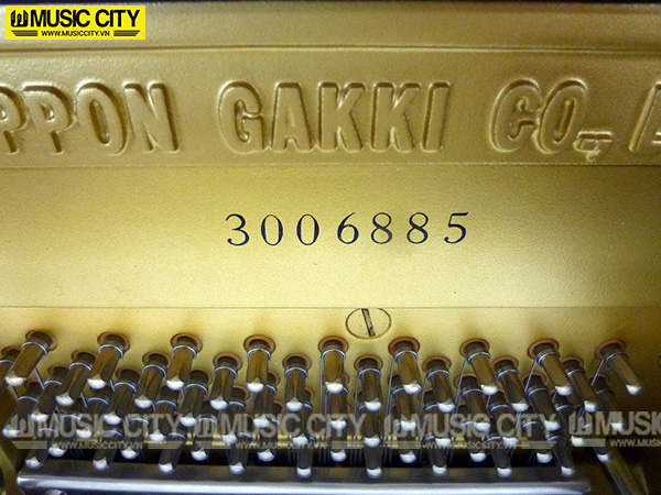 Music City – Tổng Kho Piano, Guitar, Organ | Dịch Vụ Giáo Dục Âm Nhạc