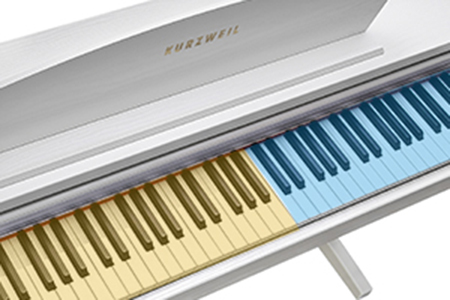 Music City – Tổng Kho Piano, Guitar, Organ | Dịch Vụ Giáo Dục Âm Nhạc