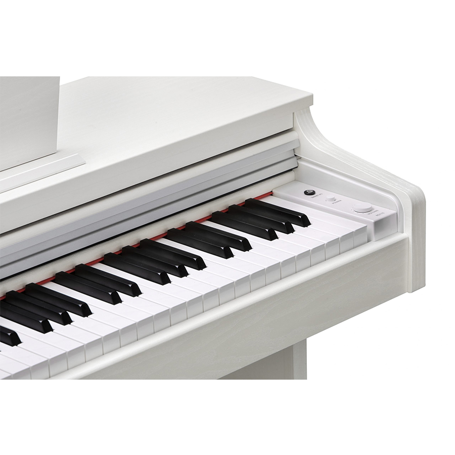 Music City – Tổng Kho Piano, Guitar, Organ | Dịch Vụ Giáo Dục Âm Nhạc