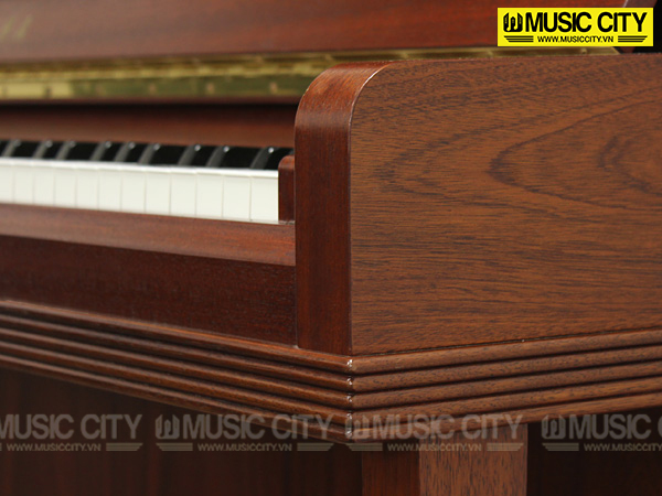 Music City – Tổng Kho Piano, Guitar, Organ | Dịch Vụ Giáo Dục Âm Nhạc