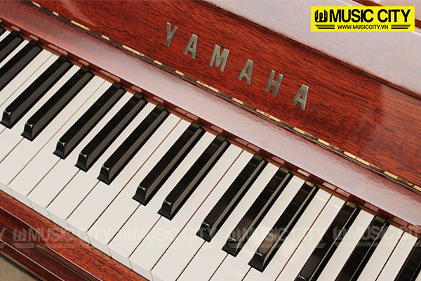 Music City – Tổng Kho Piano, Guitar, Organ | Dịch Vụ Giáo Dục Âm Nhạc