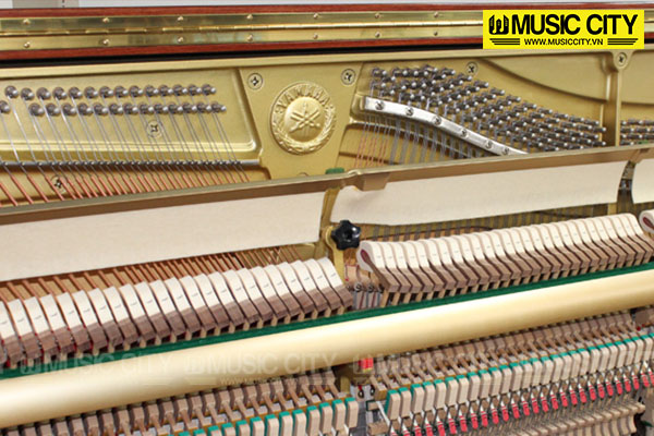 Music City – Tổng Kho Piano, Guitar, Organ | Dịch Vụ Giáo Dục Âm Nhạc