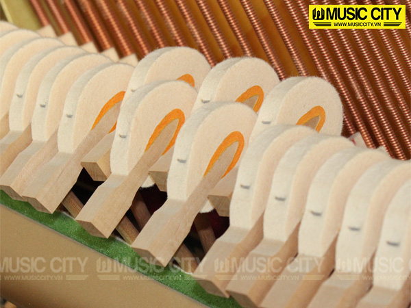 Music City – Tổng Kho Piano, Guitar, Organ | Dịch Vụ Giáo Dục Âm Nhạc