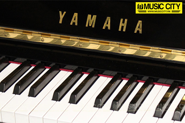 Music City – Tổng Kho Piano, Guitar, Organ | Dịch Vụ Giáo Dục Âm Nhạc