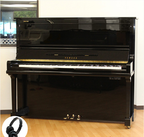 Music City – Tổng Kho Piano, Guitar, Organ | Dịch Vụ Giáo Dục Âm Nhạc