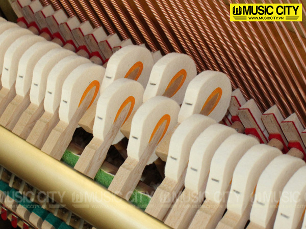 Music City – Tổng Kho Piano, Guitar, Organ | Dịch Vụ Giáo Dục Âm Nhạc