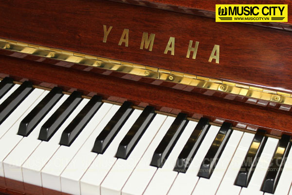 Music City – Tổng Kho Piano, Guitar, Organ | Dịch Vụ Giáo Dục Âm Nhạc