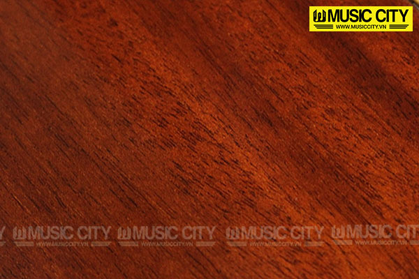 Music City – Tổng Kho Piano, Guitar, Organ | Dịch Vụ Giáo Dục Âm Nhạc