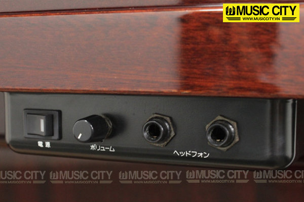 Music City – Tổng Kho Piano, Guitar, Organ | Dịch Vụ Giáo Dục Âm Nhạc