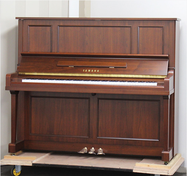 Music City – Tổng Kho Piano, Guitar, Organ | Dịch Vụ Giáo Dục Âm Nhạc