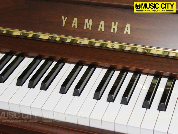 Music City – Tổng Kho Piano, Guitar, Organ | Dịch Vụ Giáo Dục Âm Nhạc
