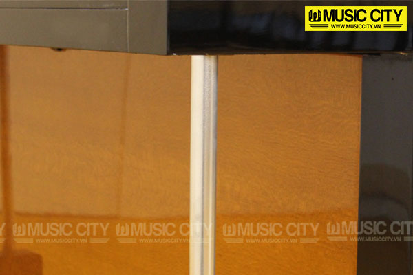 Music City – Tổng Kho Piano, Guitar, Organ | Dịch Vụ Giáo Dục Âm Nhạc