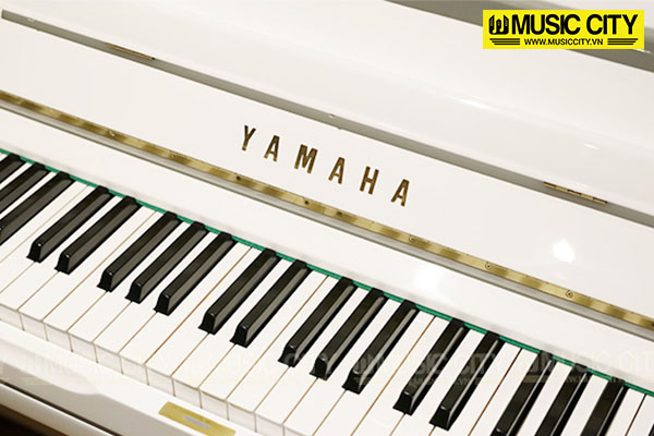 Music City – Tổng Kho Piano, Guitar, Organ | Dịch Vụ Giáo Dục Âm Nhạc