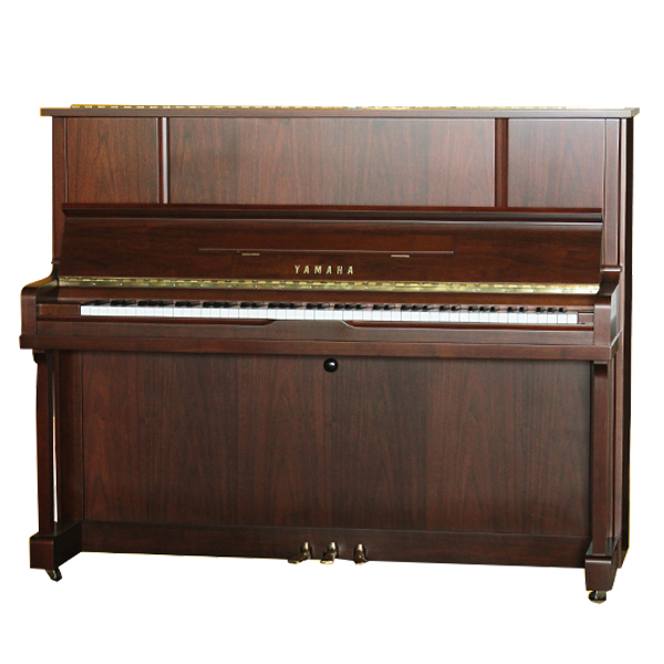 Music City – Tổng Kho Piano, Guitar, Organ | Dịch Vụ Giáo Dục Âm Nhạc