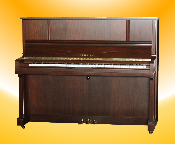 Music City – Tổng Kho Piano, Guitar, Organ | Dịch Vụ Giáo Dục Âm Nhạc