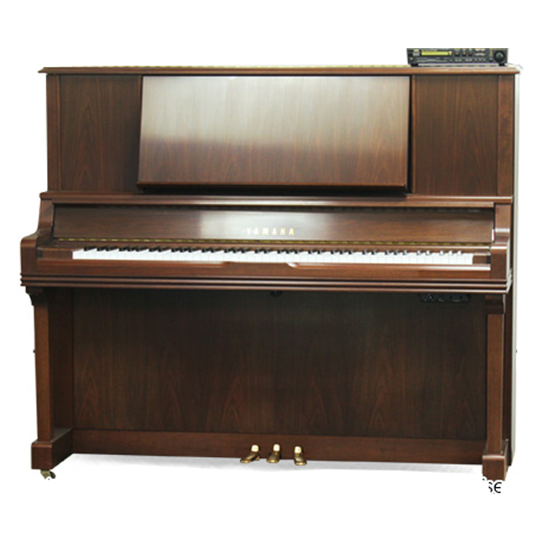 Music City – Tổng Kho Piano, Guitar, Organ | Dịch Vụ Giáo Dục Âm Nhạc