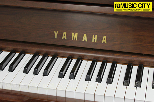 Music City – Tổng Kho Piano, Guitar, Organ | Dịch Vụ Giáo Dục Âm Nhạc