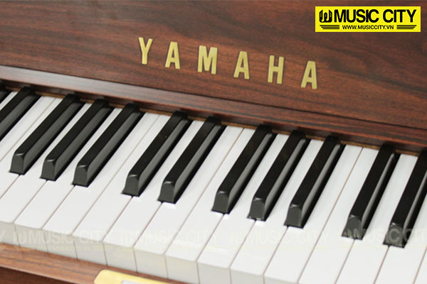 Music City – Tổng Kho Piano, Guitar, Organ | Dịch Vụ Giáo Dục Âm Nhạc
