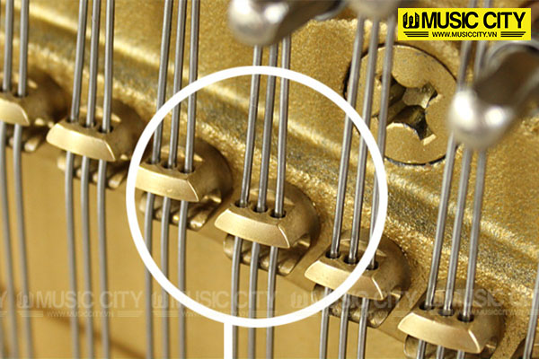 Music City – Tổng Kho Piano, Guitar, Organ | Dịch Vụ Giáo Dục Âm Nhạc