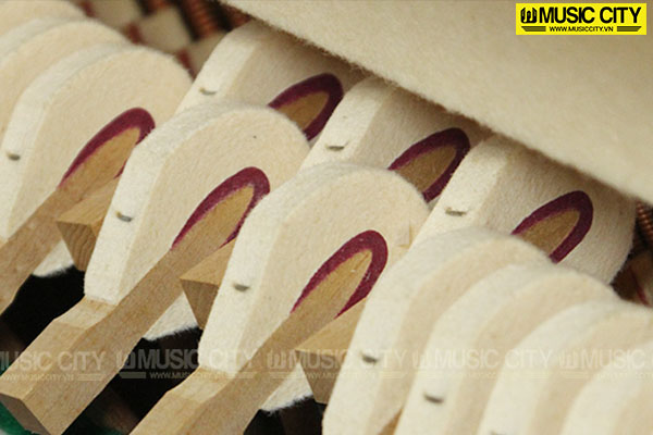 Music City – Tổng Kho Piano, Guitar, Organ | Dịch Vụ Giáo Dục Âm Nhạc