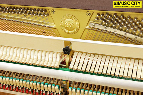 Music City – Tổng Kho Piano, Guitar, Organ | Dịch Vụ Giáo Dục Âm Nhạc