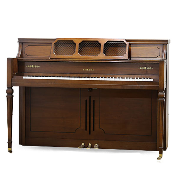 Music City – Tổng Kho Piano, Guitar, Organ | Dịch Vụ Giáo Dục Âm Nhạc