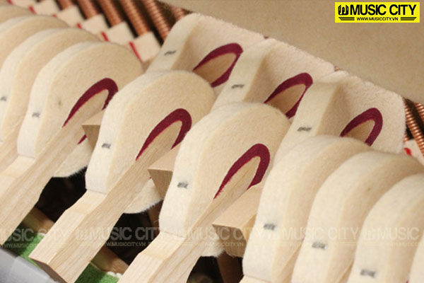 Music City – Tổng Kho Piano, Guitar, Organ | Dịch Vụ Giáo Dục Âm Nhạc