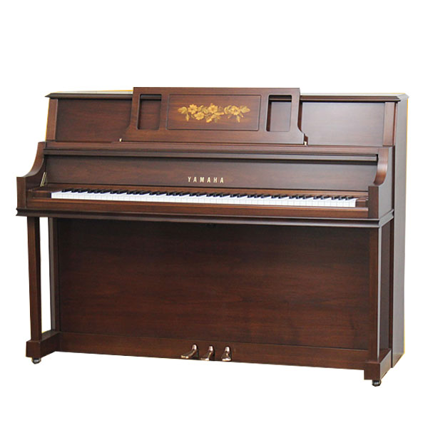 Music City – Tổng Kho Piano, Guitar, Organ | Dịch Vụ Giáo Dục Âm Nhạc