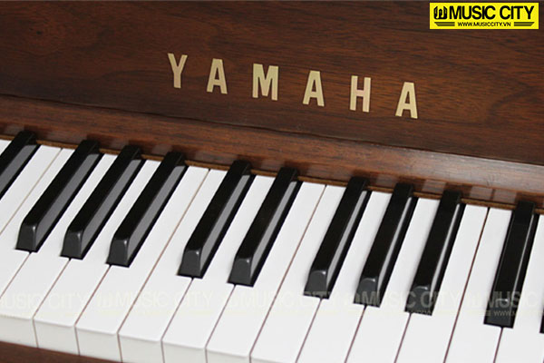 Music City – Tổng Kho Piano, Guitar, Organ | Dịch Vụ Giáo Dục Âm Nhạc
