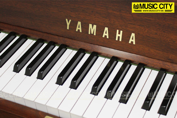 Music City – Tổng Kho Piano, Guitar, Organ | Dịch Vụ Giáo Dục Âm Nhạc