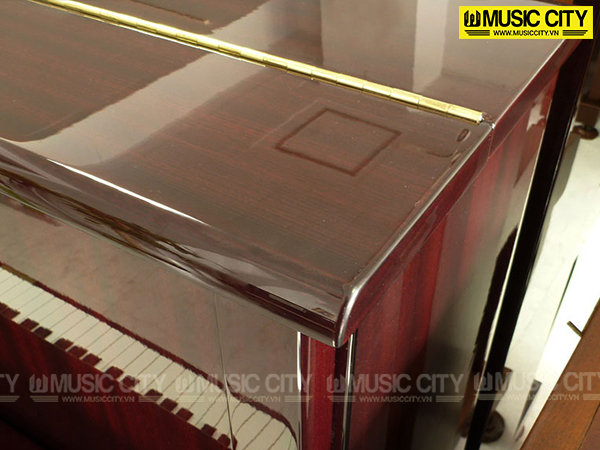 Music City – Tổng Kho Piano, Guitar, Organ | Dịch Vụ Giáo Dục Âm Nhạc