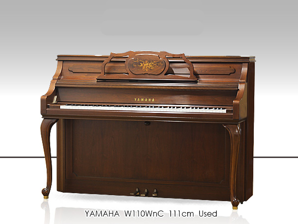Music City – Tổng Kho Piano, Guitar, Organ | Dịch Vụ Giáo Dục Âm Nhạc