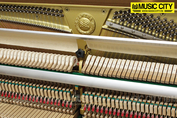 Music City – Tổng Kho Piano, Guitar, Organ | Dịch Vụ Giáo Dục Âm Nhạc