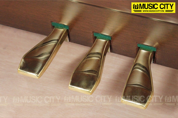 Music City – Tổng Kho Piano, Guitar, Organ | Dịch Vụ Giáo Dục Âm Nhạc