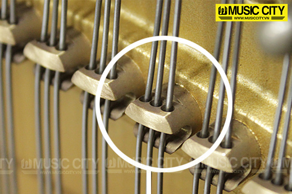 Music City – Tổng Kho Piano, Guitar, Organ | Dịch Vụ Giáo Dục Âm Nhạc