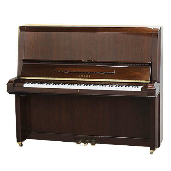 Music City – Tổng Kho Piano, Guitar, Organ | Dịch Vụ Giáo Dục Âm Nhạc
