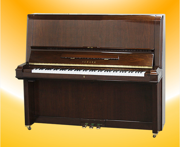 Music City – Tổng Kho Piano, Guitar, Organ | Dịch Vụ Giáo Dục Âm Nhạc