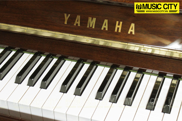 Music City – Tổng Kho Piano, Guitar, Organ | Dịch Vụ Giáo Dục Âm Nhạc