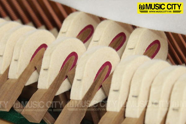 Music City – Tổng Kho Piano, Guitar, Organ | Dịch Vụ Giáo Dục Âm Nhạc