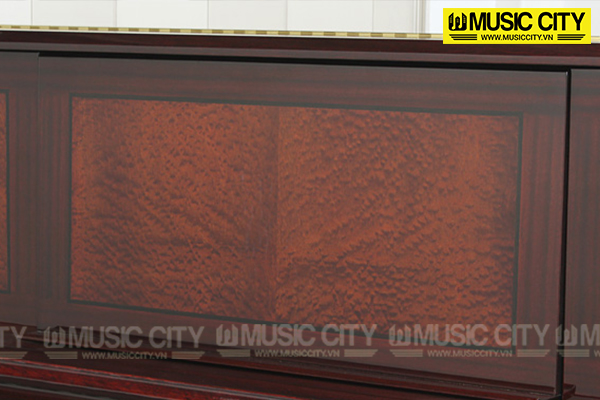 Music City – Tổng Kho Piano, Guitar, Organ | Dịch Vụ Giáo Dục Âm Nhạc